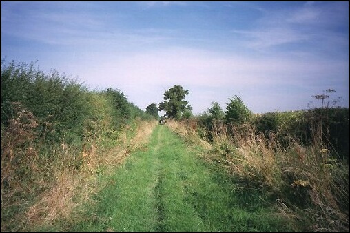 A green lane on the approach to Clifton.